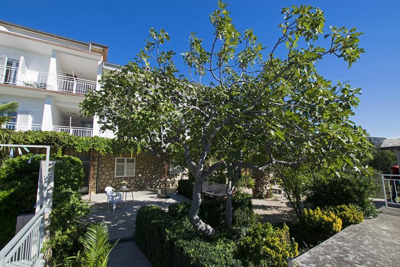 Apartment Duda Starigrad Paklenica Room photo